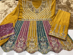 Naarira Ebaa 1608 Chinon Embroidery Suit