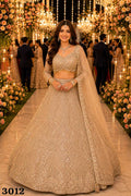 Naarira Net Fancy Lehenga Set