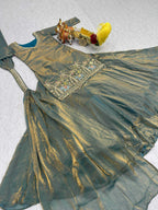 Naarira Fancy Embroidered Lehenga