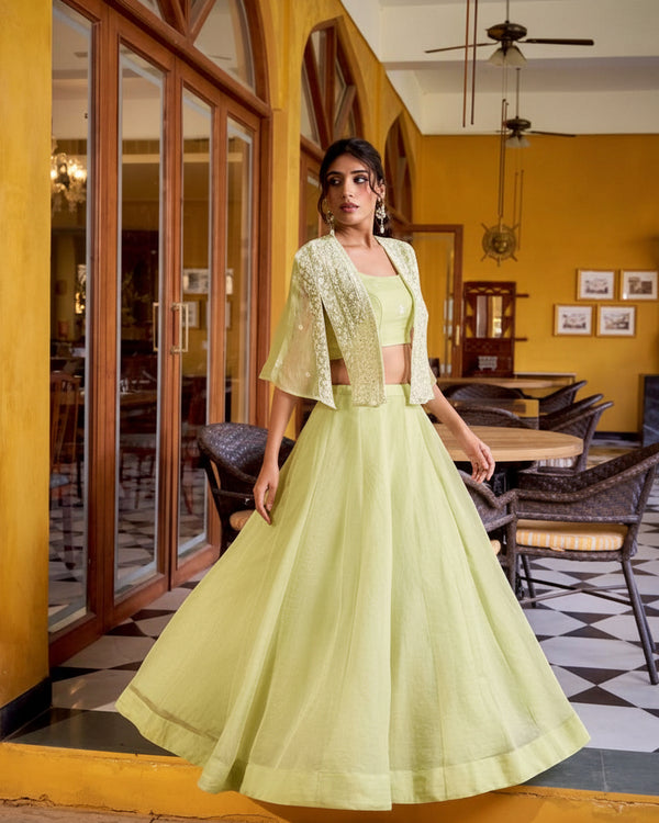 Naarira Crush Silk Simple Lehenga