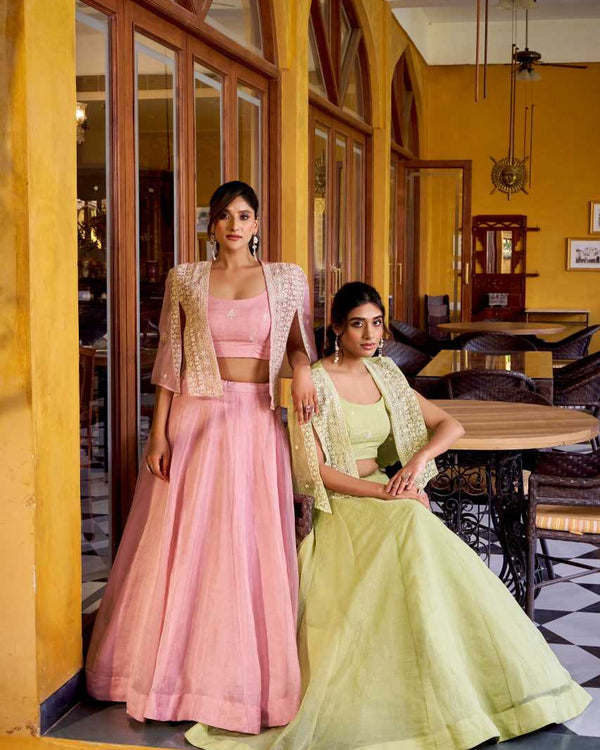 Naarira Crush Silk Simple Lehenga - alternate view