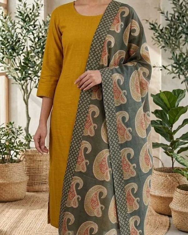 Naarira Rayon Ladies Suit