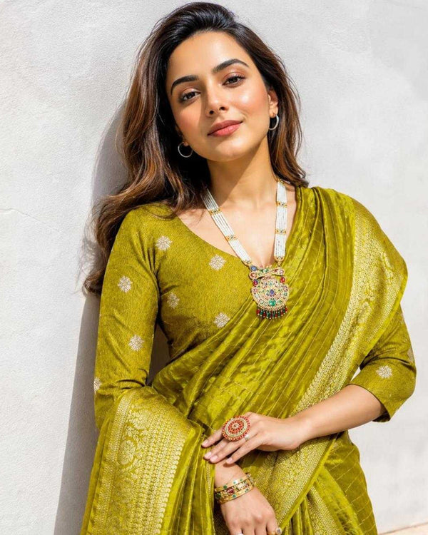 Naarira Dola Nylon Silk Saree for Women