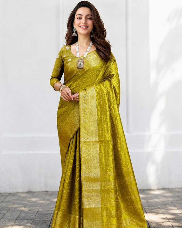 Naarira Dola Nylon Silk Saree for Women - alternate view