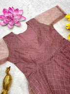 Naarira Dhanishta Net Fancy Gown