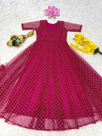 Naarira Dhanishta Net Fancy Gown