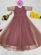 Naarira Dhanishta Net Fancy Gown