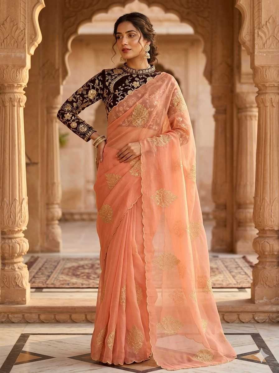Naarira Naina Organza Designer Saree