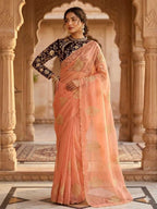 Naarira Naina Organza Designer Saree