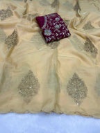 Naarira Naina Organza Designer Saree