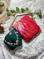 Naarira HAELI Organza Fancy Sarees